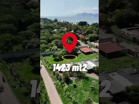 Previsualización de video