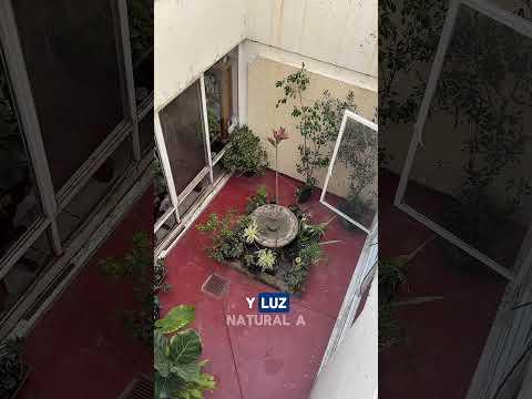 Previsualización del video