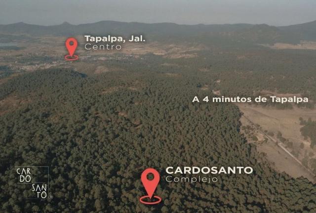 Foto de la galeria de imagenes