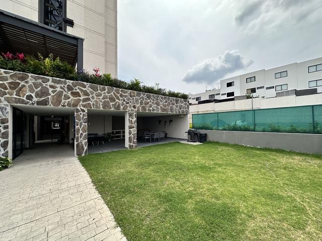 Foto de la galeria de imagenes