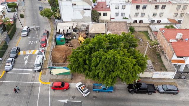 Foto de la galeria de imagenes